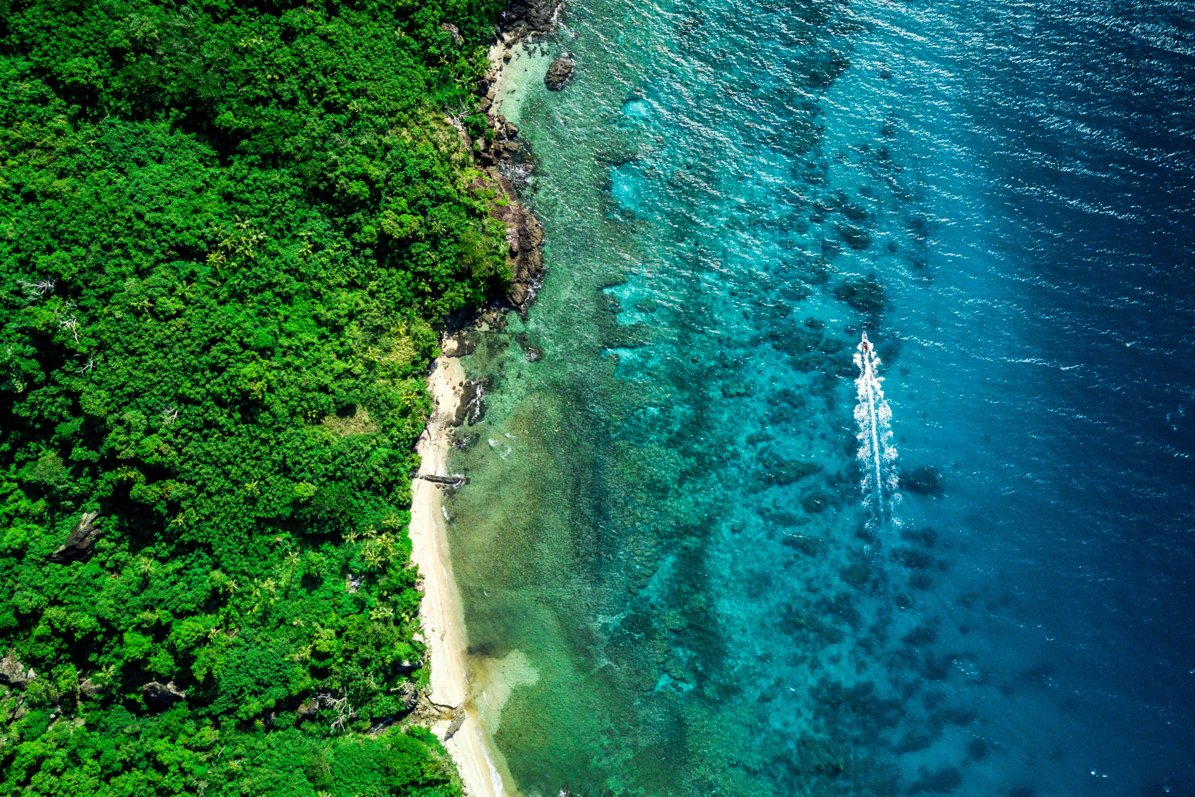 Fiji[1].webp